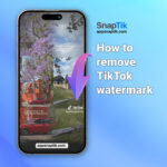 Summary of the fastest and latest ways to delete Watermark and TikTok ID