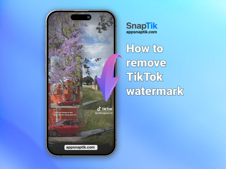 Summary of the fastest and latest ways to delete Watermark and TikTok ID